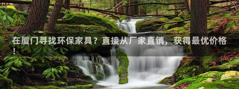 杏耀官方娱乐