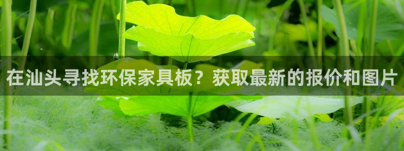 杏耀平台代理怎么赚钱