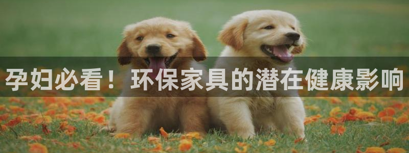 杏耀平台线路测试