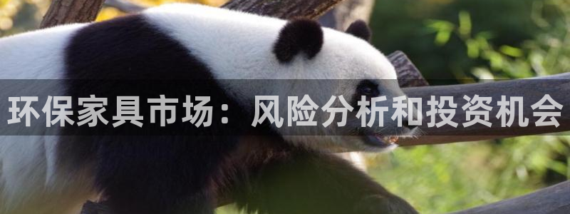 杏耀平台注册登录