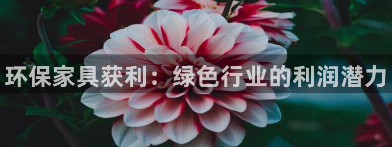 杏耀测速网址电脑版