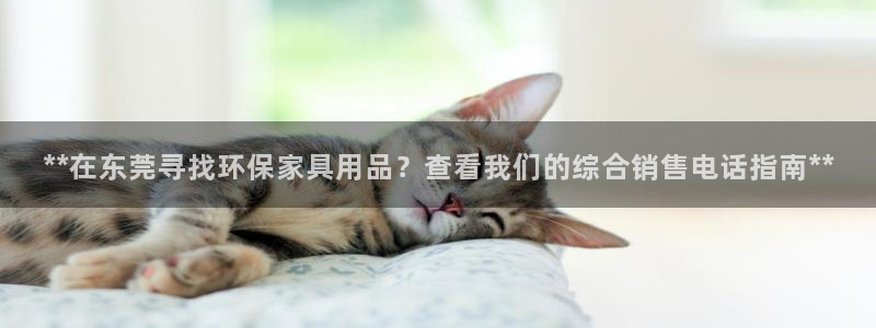 杏耀测速登录地址