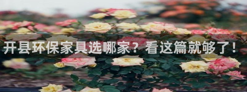杏耀官方测速