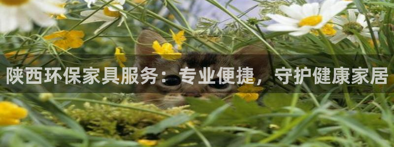 杏耀平台指定