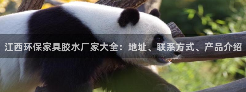 杏耀平台官网