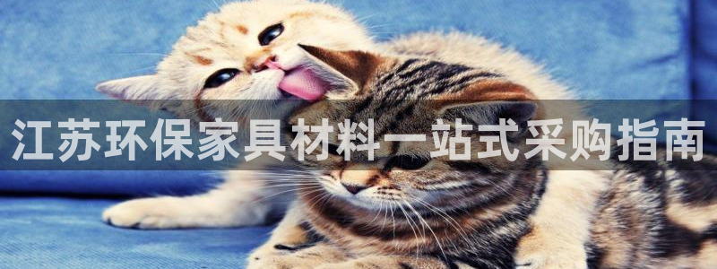 杏耀注册代理：江苏环保家具材料一站式采购指南