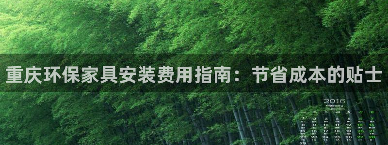 杏耀软件：重庆环保家具安装费用指南：节省成本的贴士