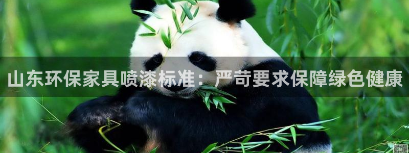 杏耀注册开户：山东环保家具喷漆标准：严苛要求保障绿色健康