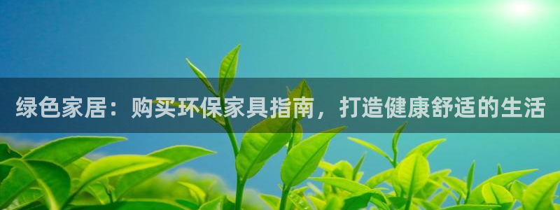 杏耀官方测速：绿色家居：购买环保家具指南，打造健康舒适的生活