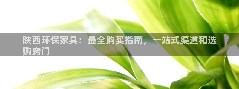 杏耀平台线路测速登录：陕西环保家具：最全购买指南，一站式渠道