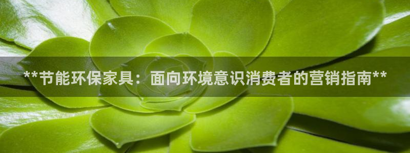 杏耀注册登录官网：**节能环保家具：面向环境意识消费者的营销
