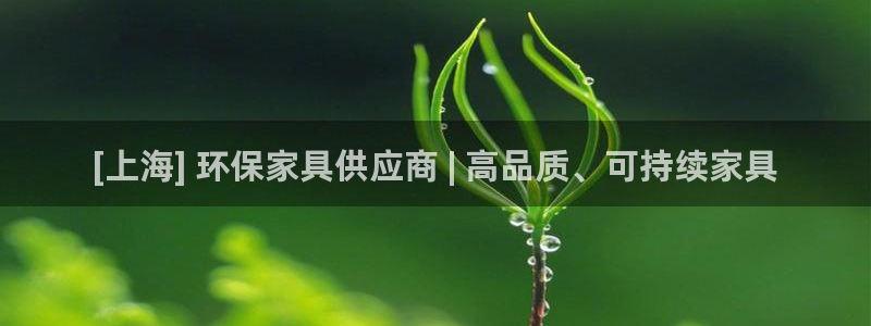 杏耀官网主管：[上海] 环保家具供应商 | 高品质、可持续家