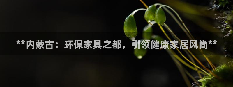 杏耀官网主管