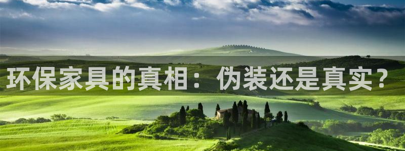 杏耀注册登陆：环保家具的真相：伪装还是真实？