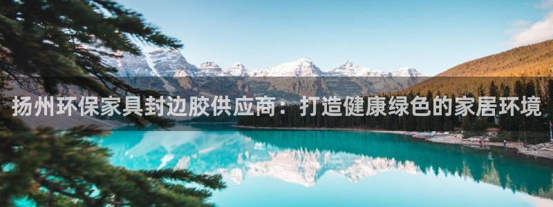 杏耀app怎样申请退款：扬州环保家具封边胶供应商：打造健康绿