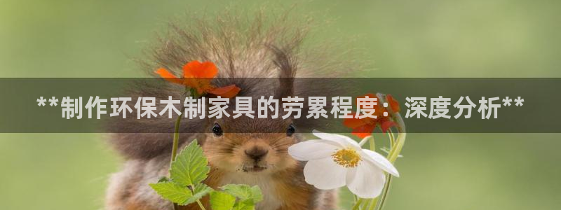 杏耀平台代理：**制作环保木制家具的劳累程度：深度分析**