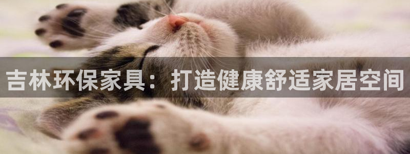 杏耀平台娱乐登陆：吉林环保家具：打造健康舒适家居空间
