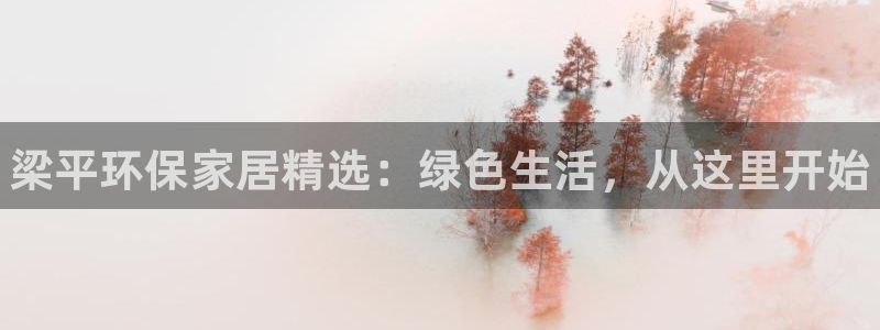杏耀官方娱乐：梁平环保家居精选：绿色生活，从这里开始