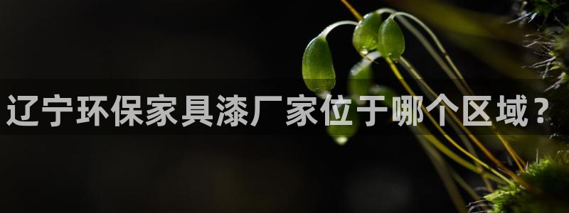 杏耀是什么平台：辽宁环保家具漆厂家位于哪个区域？