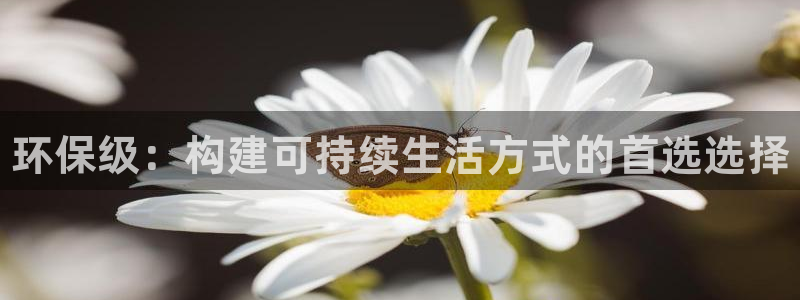 杏耀登入官网