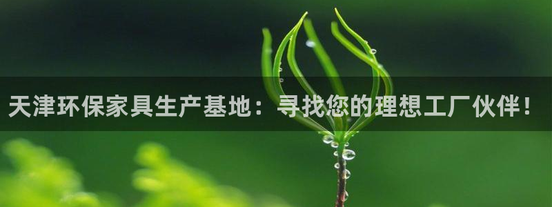 杏耀登入测速：天津环保家具生产基地：寻找您的理想工厂伙伴！