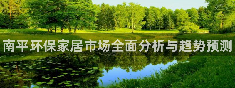杏耀平台手机下载：南平环保家居市场全面分析与趋势预测