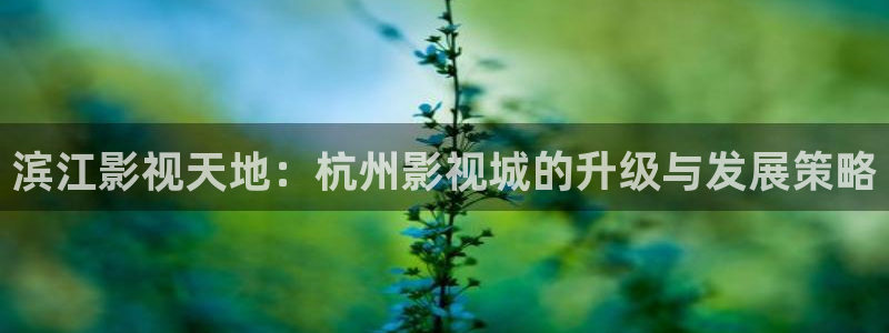 青青视频免费在线观看：滨江影视天地：杭州影视城的升级与发展策略