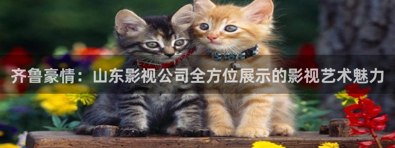 男女青青影院：齐鲁豪情：山东影视公司全方位展示的影视艺术魅力