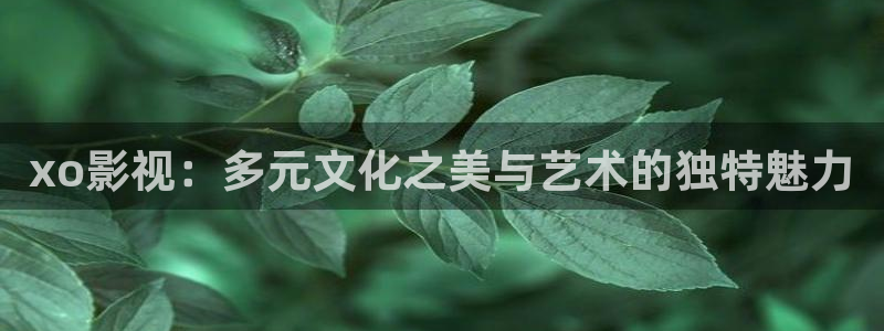 青青国产影院：xo影视：多元文化之美与艺术的独特魅力