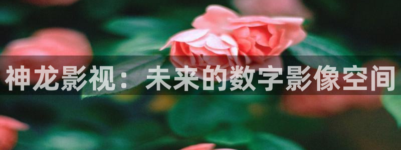 青青草原的：神龙影视：未来的数字影像空间