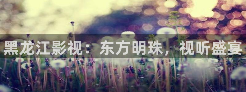 青青草原呢：黑龙江影视：东方明珠，视听盛宴