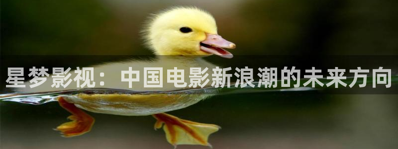 青青草原在线综合：星梦影视：中国电影新浪潮的未来方向