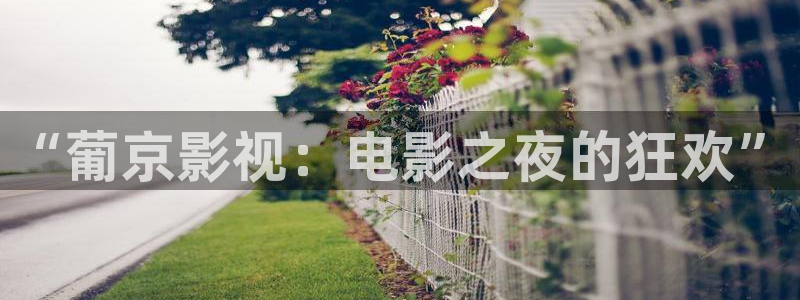 青青青在线影院：“葡京影视：电影之夜的狂欢”