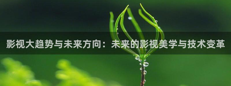 青青草原在线观看：影视大趋势与未来方向：未来的影视美学与技术变革